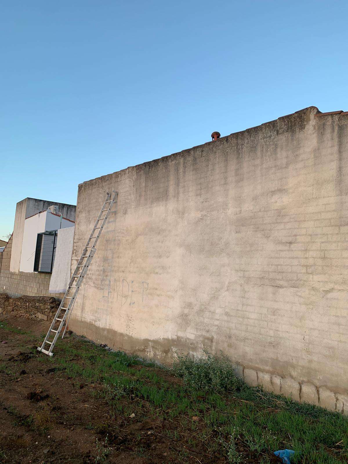 WhatsApp Image 2025-11-04 at 21.19.43